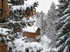 Gorska Vila, cabin nghỉ dưỡng ở Kopaonik