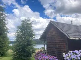 Antuquelen Lodge Cabañas