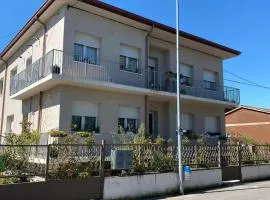Zevio home
