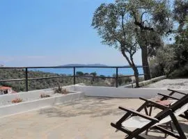 Onar House IV
