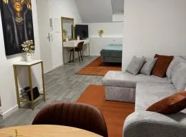 Isaak Apartment Schlossblick