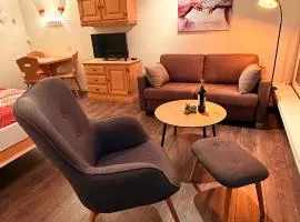 Gemütliches Alpenstudio mitten in Davos perfekt angebunden, extrem ruhig und ideal als Rückzugsort für Entspannung, sportliche Aktivitäten oder ein entspanntes Wochenende