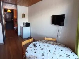 Résidence Lauzet - Cosy studio a proximité du Point Show MAE-5511