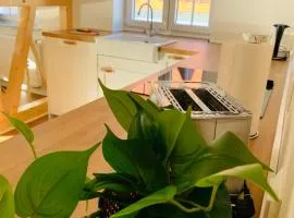 Traumwohnung - direkt am Marktplatz