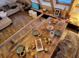 Chalet 6-8 pers St Lary Alt1700m -100mdespistes classé 4 étoiles