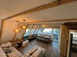 Chalet 6-8 pers St Lary Alt1700m -100mdespistes classé 4 étoiles