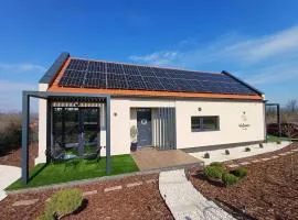 Holiday home in Eger - Ostungarn 53339