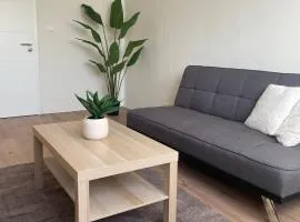 Appartement 1 - Zweizimmerwohnung mit Küche und Bad