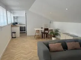 Rooftop Apartment city center