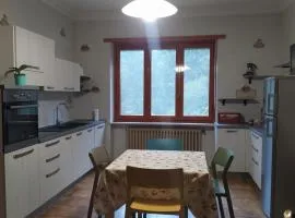 L'ape Regina