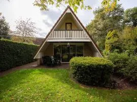 Goudhaan I Fijne Accommodatie met Openhaard