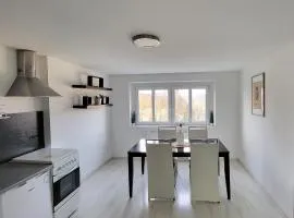 M I S T E R B A L E S Ferienwohnung Zittau Bahnhofsnähe