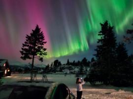 Løstegård Cabins, Hotel in Gol