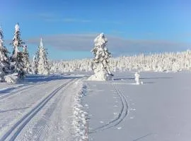 Three-Bedroom Holiday Home In Sjusjoen