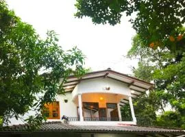 Green View Apartment