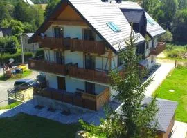 nowy Apartament z tarasem i samodzielnym wejściem - Willa Sowia