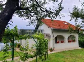 Sziklaszirt - Wellnes Vendégház