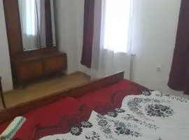 Tskaltubo-house