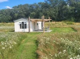 Hoeve Twente - De Wielewaal