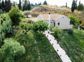 House on the Hill
