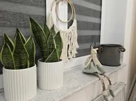 Apartament Stop w Ustrzykach Dolnych