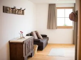 Ferienwohnung - THOLER