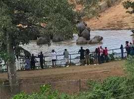 Pinnawala Elephant Front View Hotel