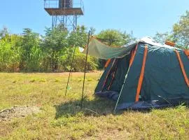 Mwea Farmstay -CampSite and Nature Trail