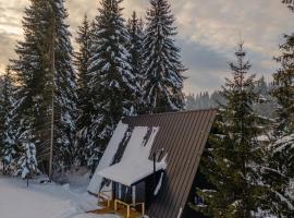 Black Raven Cabin, hotel i Topliţa