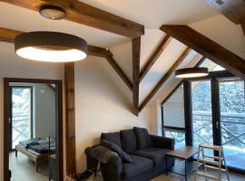 Horský apartmán Temari Partner Klínovec, khách sạn ở Loučná pod Klínovcem