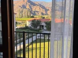 Vista Montañas y Viñas