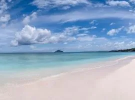 Sardine Beach Rote