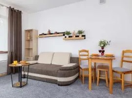 Bright Studio with Balcony in Murzasichle by Noclegi Renters