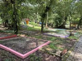 Camp Site