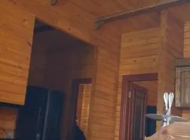 Эко вилла