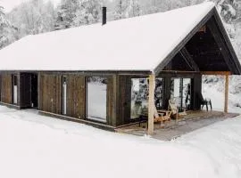 Modern Mountain Cabin - Sauna - 5 Bedrooms - Sleeps for 10