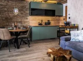 Mountain Apartment No 209-CORSO Harrachov, High Speed WI-FI, Ambilight smart TV, Netflix, YouTube, FREE parking, PRIVATE ski storage, "Ski-in Ski-out"