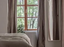 The Witch of Grič Studio Apartments