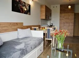 Apartamenty Galicja Zator