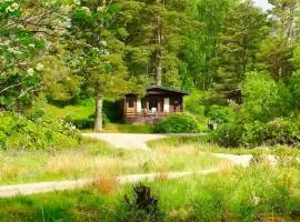 Solstice Cabin