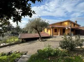 Casa Butterfly
