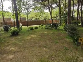 Camping Valdor Camper & Pitch