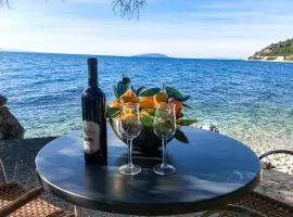 Apartment Lemon tree