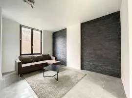 Cerisier 1B centre-gare-aéroport