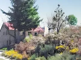 Comfortable house in Cortes do Meio with garden