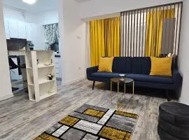 89 Apart Lux Fundeni