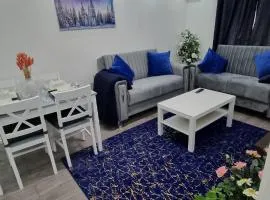 Modern Elegant Home