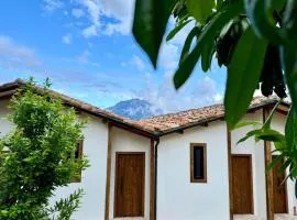 Alpeta Agrotourism & Winery - Roshnik , Berat