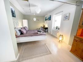 The Clinic apartment, hotel v destinaci Stugun