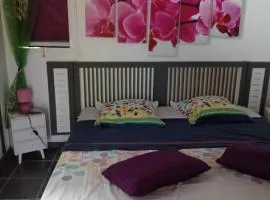 Gîte Anolis